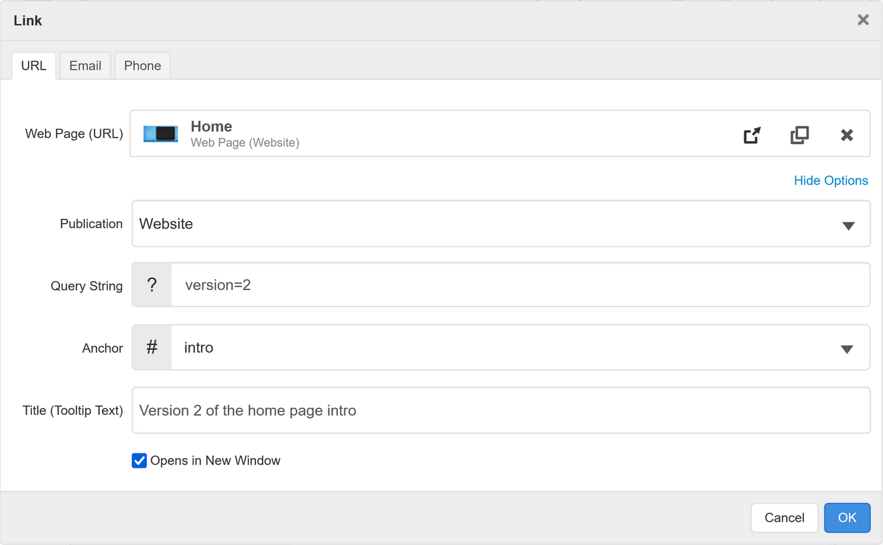 RTE Link Dialog Web Page Extended Options