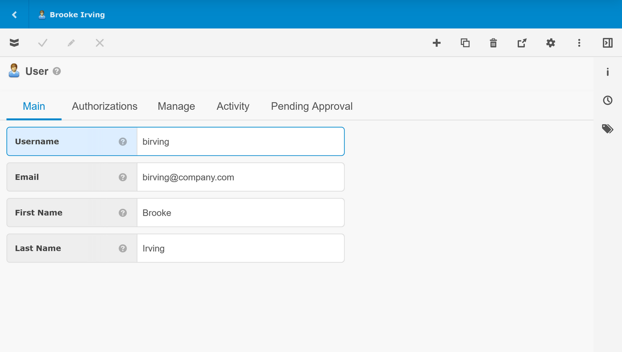 User View - Main Tab