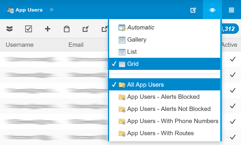 View Settings - App Users